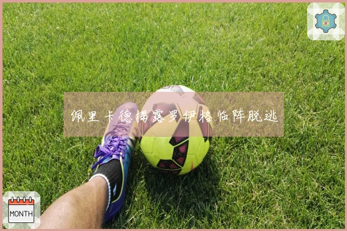 佩里卡德揭露罗伊格临阵脱逃